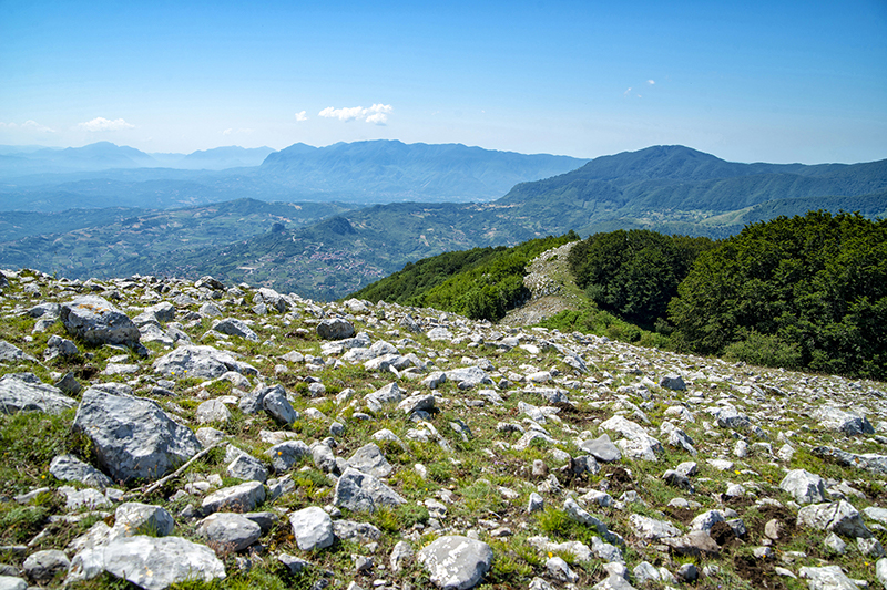 SANNIO